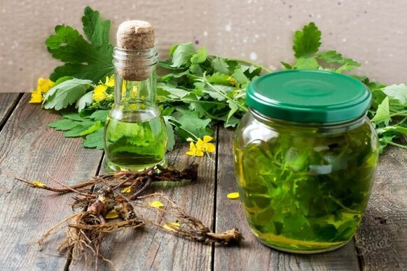 Tinktur aus Schöllkrautkraut gegen Pilze an den Zehen